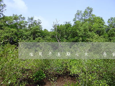 信用卡逾期七次 房贷 信用卡逾期七次 房贷